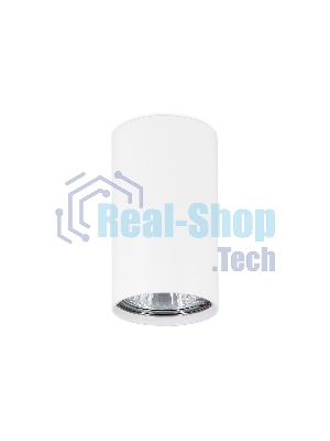Светильник Ambrella light TN213133 WH белый GU10 D60*90