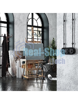 Переключатель одноклавишный Werkel Vintage (черный матовый/хром) W5812051