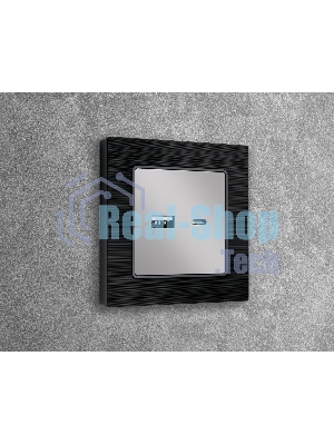Лицевая панель ALFA (Серебро глянец) для розетки 2USB тип A+C QUANT AP4110