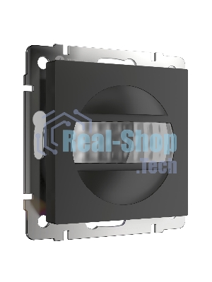 Датчик движения Werkel 500 Вт, двухпроводный (черный) W1155108