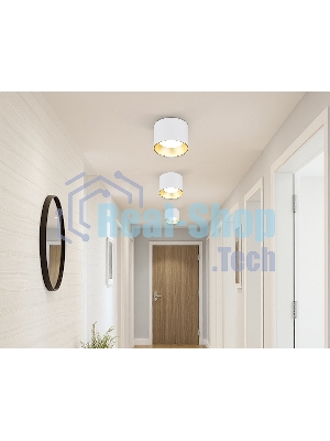 Светильник Ambrella light TN52882 SWH/SGD белый песок/золото песок GX53 max 12W D97*70