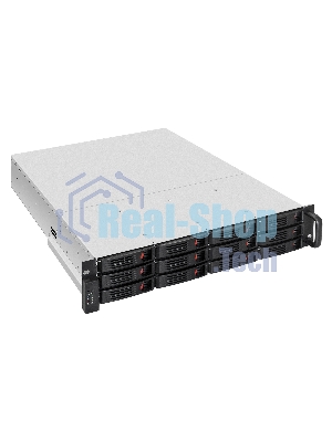 Серверная платформа ExeGate Pro 2U550-HS12 (RM 19