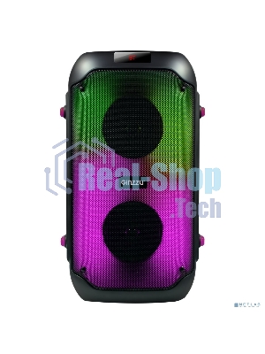 Акустическая система Ginzzu GM-234 Midi, BT/USB/TF/FM/MIC/ДУ