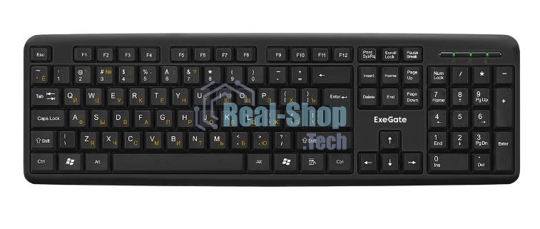 Клавиатура проводная ExeGate Professional Standard LY-405 (EX287138RUS), USB, черный