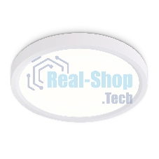 Светильник светодиодный ультратонкий Ambrella light FZ1901 WH белый IP54 13W 3000K-6500K CCT-переключатель D230*25 (Без ПДУ)