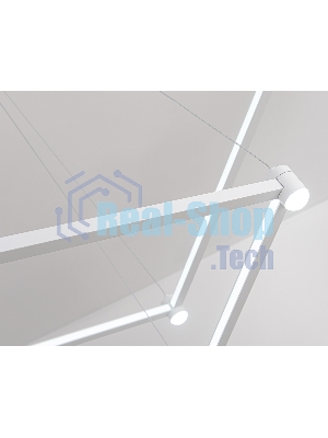 Подвесной светодиодный светильник Ambrella light FL5595/2+8 WH белый 60W 3000K/4200K/6400K 600*600*1300 (без ПДУ)