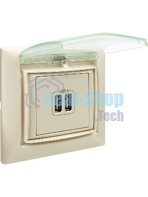 Розетка 2-ая USB 774170 Legrand Valena Сл. кость