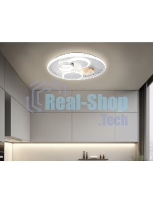 Светильник Ambrella light FL4803 GR серый 3000K-6400K 70W D500*95 (ПДУ ИК)