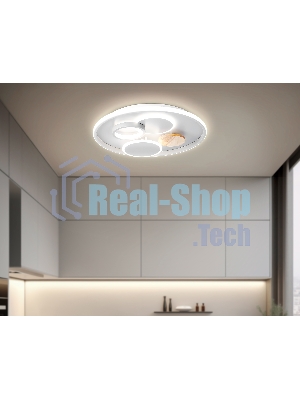 Светильник Ambrella light FL4803 GR серый 3000K-6400K 70W D500*95 (ПДУ ИК)