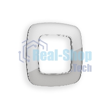 Рамка OMEGA Radian (Серебро Стекло органическое) 1-ая OF320401