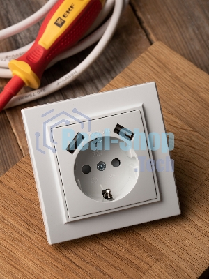 Розетка 1-местная СП с/з 16А белая с защ. штор. с 2 USB 2,1А EKF Минск
