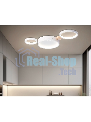 Светильник Ambrella light FL4812/3 WH белый 3000K-6400K 45W 620*290*55 (ПДУ ИК)