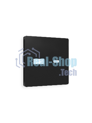 Лицевая панель ALFA (Черный матовый) для розетки 2USB тип A+C QUANT AP8110