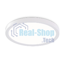 Светильник светодиодный ультратонкий Ambrella light FZ1903 WH белый IP54 20W 3000K-6500K CCT-переключатель D300*25 (Без ПДУ)