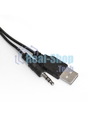Акустическая система 2.0 ExeGate EX287057RUS Disco 140 Black (питание USB, 2х3Вт (6Вт RMS), 100-20000Гц, черный)