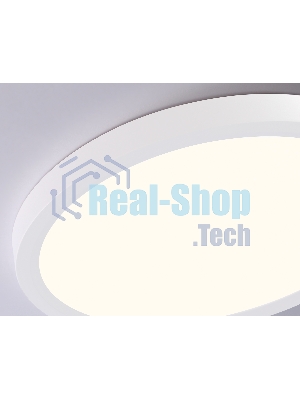 Светильник светодиодный ультратонкий Ambrella light FZ1903 WH белый IP54 20W 3000K-6500K CCT-переключатель D300*25 (Без ПДУ)