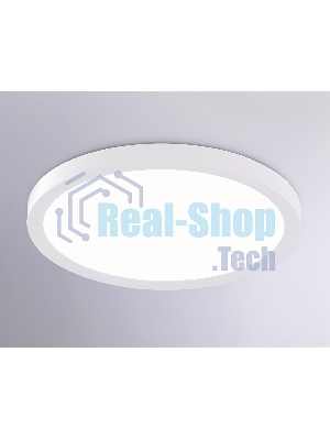 Светильник светодиодный ультратонкий Ambrella light FZ1903 WH белый IP54 20W 3000K-6500K CCT-переключатель D300*25 (Без ПДУ)