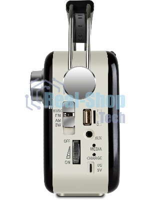 Радиоприемник SVEN SRP-505 (4 Вт, FM/AM/SW, USB, SD/microSD, Bluetooth, 1200 мА·ч)черный