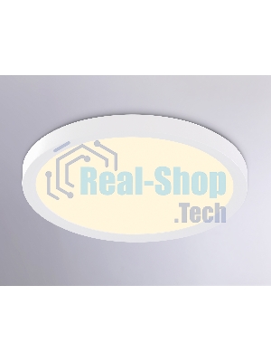 Светильник светодиодный ультратонкий Ambrella light FZ1903 WH белый IP54 20W 3000K-6500K CCT-переключатель D300*25 (Без ПДУ)