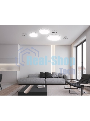 Светильник светодиодный ультратонкий Ambrella light FZ1903 WH белый IP54 20W 3000K-6500K CCT-переключатель D300*25 (Без ПДУ)