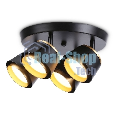 Светильник Ambrella light TN71243/4 BK/GD черный/золото GX53/4 D250*147