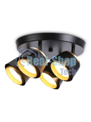 Светильник Ambrella light TN71243/4 BK/GD черный/золото GX53/4 D250*147