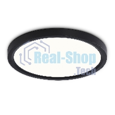 Светильник светодиодный ультратонкий Ambrella light FZ1904 BK черный IP54 20W 3000K-6500K CCT-переключатель D300*25 (Без ПДУ)