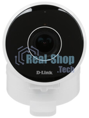 Видеокамера IP D-Link DCS-8100LH 1.8-1.8мм цветная