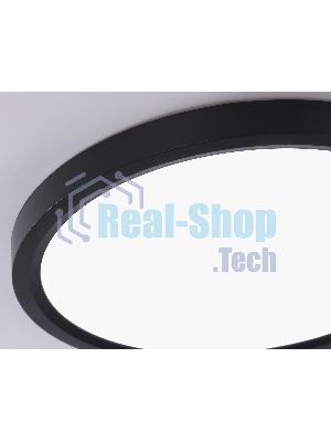 Светильник светодиодный ультратонкий Ambrella light FZ1904 BK черный IP54 20W 3000K-6500K CCT-переключатель D300*25 (Без ПДУ)