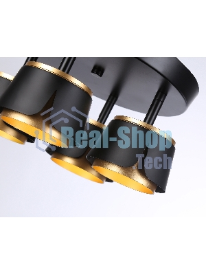 Светильник Ambrella light TN71243/4 BK/GD черный/золото GX53/4 D250*147