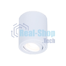 Светильник Ambrella light TN225 WH белый GU5.3 D80*100