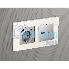 Лицевая панель ALFA (Сталь матовый) для розетки 2USB тип A+C QUANT AP5110