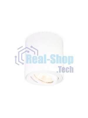 Накладной точечный поворотный светильник TN22701 WH белый GU5.3 D80*84