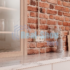 Коробка для накладного монтажа Werkel W8000003 (слоновая кость)