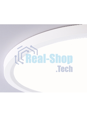 Светильник светодиодный ультратонкий Ambrella light FZ1905 WH белый IP54 26W 3000K-6500K CCT-переключатель D370*25 (Без ПДУ)