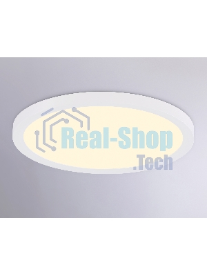 Светильник светодиодный ультратонкий Ambrella light FZ1905 WH белый IP54 26W 3000K-6500K CCT-переключатель D370*25 (Без ПДУ)