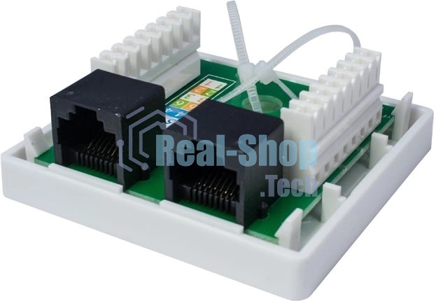 Компьютерная розетка 8P8C (RJ-45), UTP, Cat.6, 2 порта