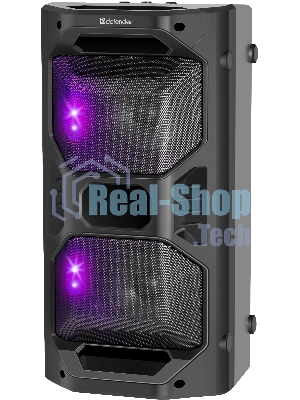 Портативная акустика Defender Rage 50 Вт Light/BT/FM/USB/LED/TWS черный
