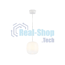 Подвесной светодиодный светильник Ambrella light LH11091 WH/FR белый/белый матовый 4W 3000K D150*170