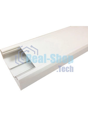 Короб Lanmaster LAN-CT120X50-WH 120x50 мм белый 2 м (упак.: 1 шт)