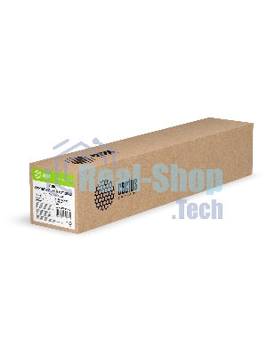 Холст Cactus CS-MC230-61030 24