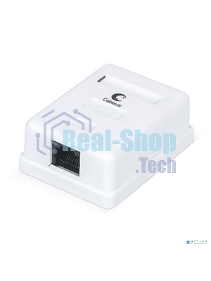 Розетка в сборе Cabeus, 1x RJ45(8P8C), кат. 6, неэкр., внешняя, белый, (WS-8P8C-Cat.6-1)