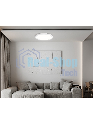 Светильник светодиодный ультратонкий Ambrella light FZ1907 WH белый IP54 35W 3000K-6500K CCT-переключатель D450*25 (Без ПДУ)