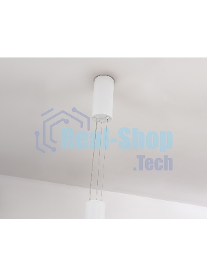 Подвесной светодиодный светильник Ambrella light FL5844/1+3 WH белый 40W 3000K/4200K/6400K D600*1200 (без ПДУ)