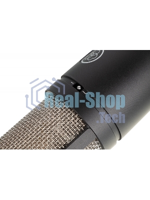 Микрофон AKG P220 3101H00420