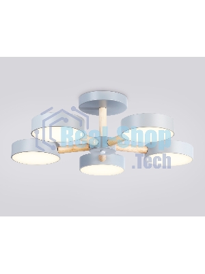Светильник Ambrella light FL4826/5 GR серый 3000K-6400K 65W D580*160 (ПДУ ИК)