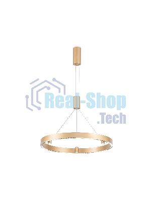 Подвесной светодиодный светильник Ambrella light FL5846/1+3 GD золото 40W 3000K/4200K/6400K D600*1200 (без ПДУ)
