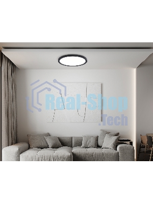Светильник светодиодный ультратонкий Ambrella light FZ1908 BK черный IP54 35W 3000K-6500K CCT-переключатель D450*25 (Без ПДУ)