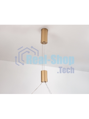 Подвесной светодиодный светильник Ambrella light FL5846/1+3 GD золото 40W 3000K/4200K/6400K D600*1200 (без ПДУ)