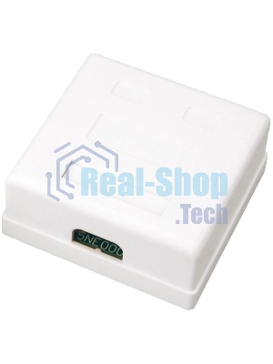 Розетка компьютерная Rexant 2-м ОП RJ45 CAT.5E бел.